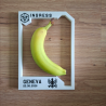 3D Frame Orion Geneva - mid size